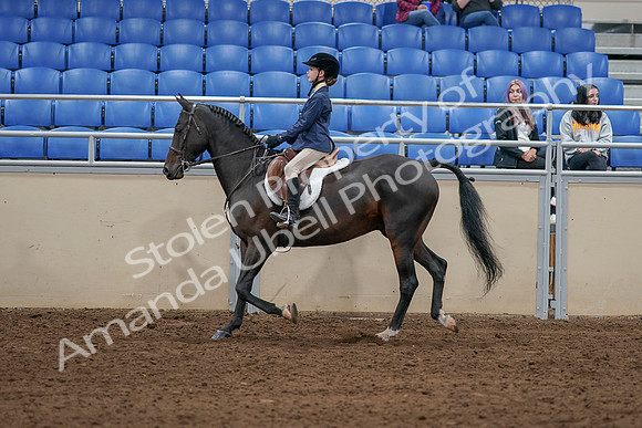 2020 - AB Morgan Horse - Sat, Sept 05 - 10607