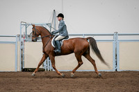 2020 - AB Morgan Horse - Sat, Sept 05 - 03047