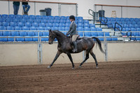 2019 Morgan Horse Show - Sept 01, 2019 - 10882_1