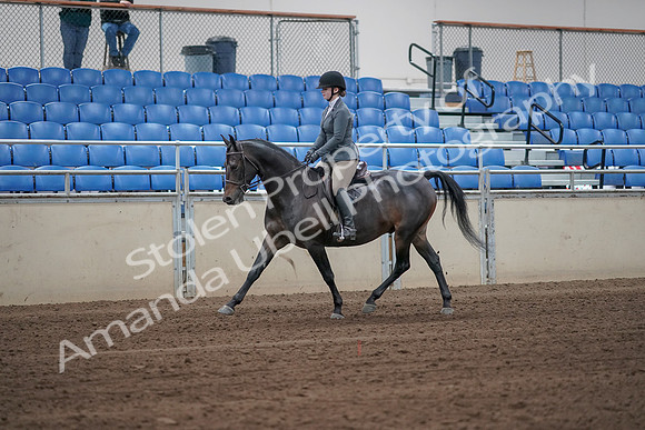 2019 Morgan Horse Show - Sept 01, 2019 - 10882_1