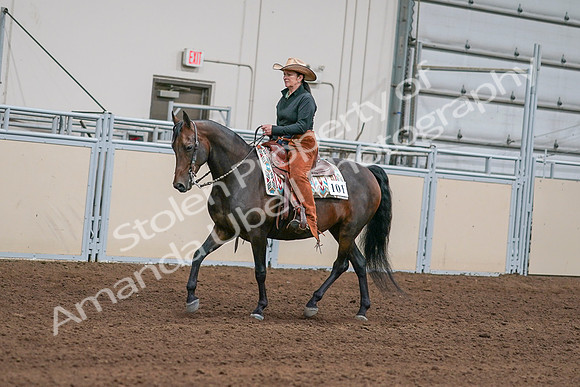 2020 - AB Morgan Horse - Sun, Sept 06 - 01544