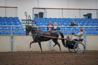 2019 Morgan Horse Show - Aug 31, 2019 - 10263