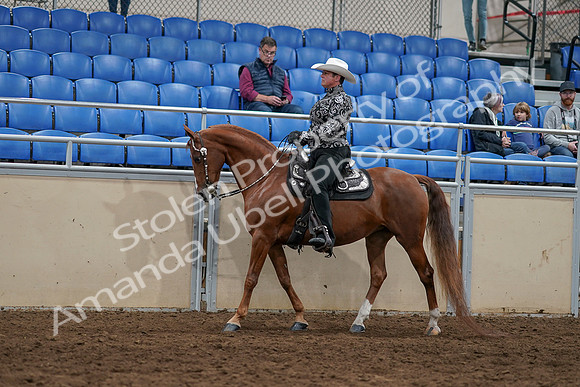 2020 - AB Morgan Horse - Sun, Sept 06 - 07505