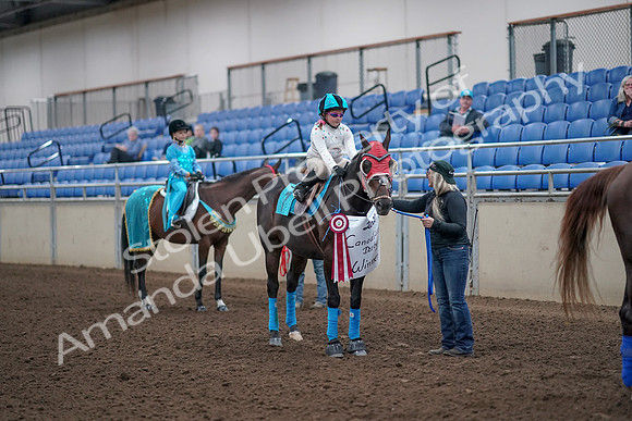 2019 Morgan Horse Show - Aug 31, 2019 - 10127