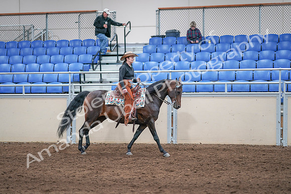 2020 - AB Morgan Horse - Sun, Sept 06 - 01650