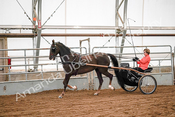 July 19, 2019 - 6970