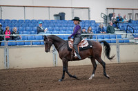 2019 Morgan Horse Show - Aug 31, 2019 - 10552