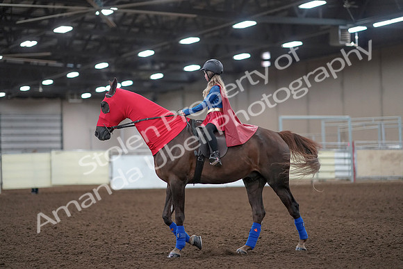 2019 Morgan Horse Show - Aug 31, 2019 - 10075