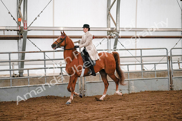 July 19, 2019 - 9017