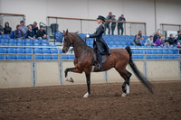 2019 Morgan Horse Show - Aug 31, 2019 - 20366