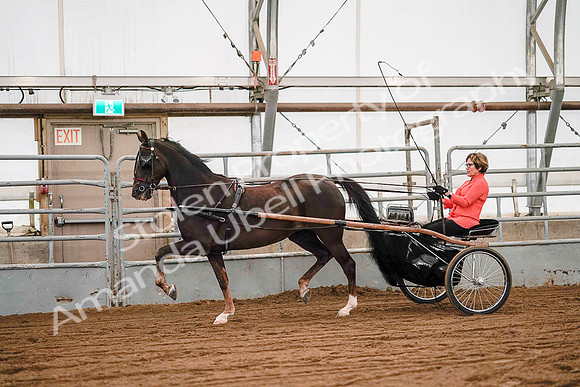 July 19, 2019 - 6979