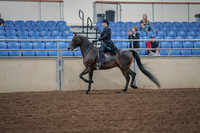 2019 Morgan Horse Show - Aug 30, 2019 - 15301