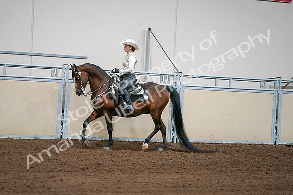 2020 - AB Morgan Horse - Fri, Sept 04 - 08359