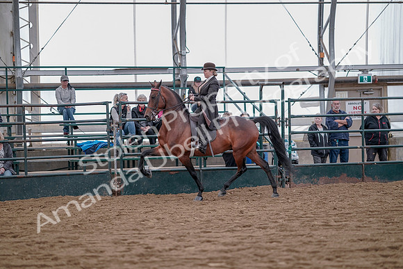 July 20, 2019 - 13873