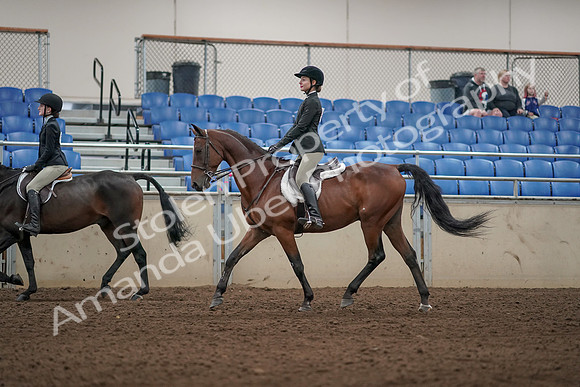 2019 Morgan Horse Show - Aug 31, 2019 - 04937