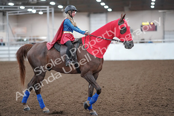 2019 Morgan Horse Show - Aug 31, 2019 - 10006