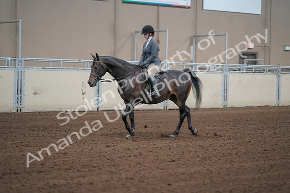 2019 Morgan Horse Show - Sept 01, 2019 - 10944_1