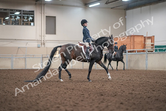 2019 Morgan Horse Show - Aug 31, 2019 - 19616