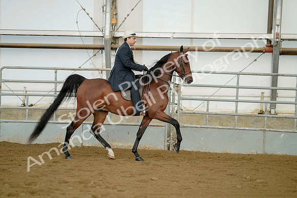 July 21, 2019 - 01808