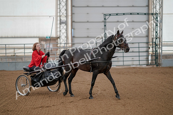 July 20, 2019 - 00179