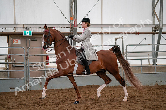 July 19, 2019 - 10439