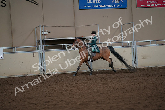 2019 Morgan Horse Show - Aug 30, 2019 - 28005