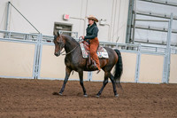2020 - AB Morgan Horse - Sun, Sept 06 - 01546