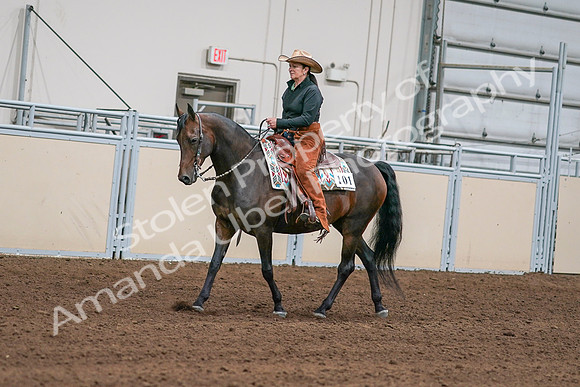2020 - AB Morgan Horse - Sun, Sept 06 - 01546