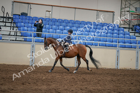 2020 - AB Morgan Horse - Sun, Sept 06 - 07836