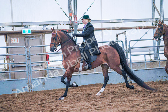 July 20, 2019 - 23711