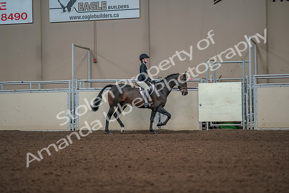 2019 Morgan Horse Show - Aug 31, 2019 - 05154