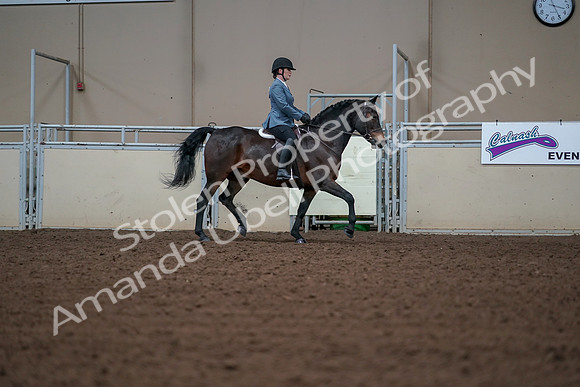 2019 Morgan Horse Show - Aug 30, 2019 - 18519