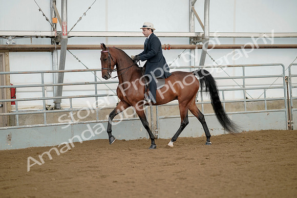 July 21, 2019 - 01551