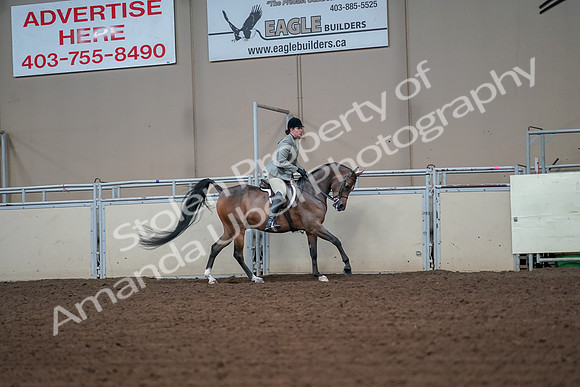 2019 Morgan Horse Show - Aug 30, 2019 - 17598