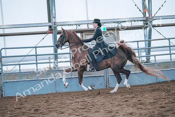 July 20, 2019 - 24156