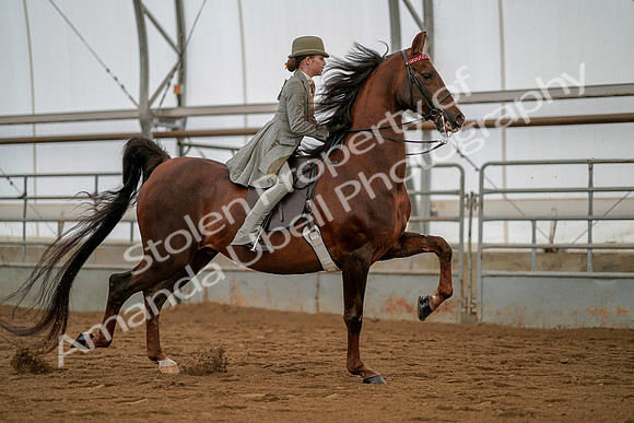 July 19, 2019 - 4048