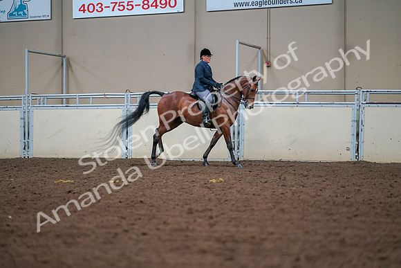 2019 Morgan Horse Show - Aug 30, 2019 - 20972