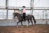 Class 081 - Morgan Western Pleasure - Open