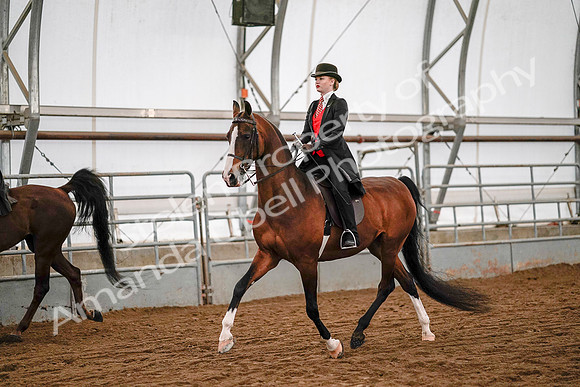 July 19, 2019 - 8795