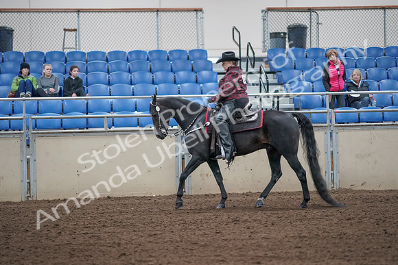 2019 Morgan Horse Show - Aug 31, 2019 - 10569