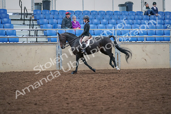 2019 Morgan Horse Show - Aug 30, 2019 - 20635