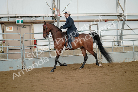 July 21, 2019 - 01560
