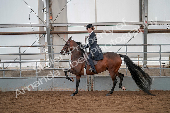 July 20, 2019 - 04393