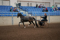 2019 Morgan Horse Show - Aug 31, 2019 - 04228