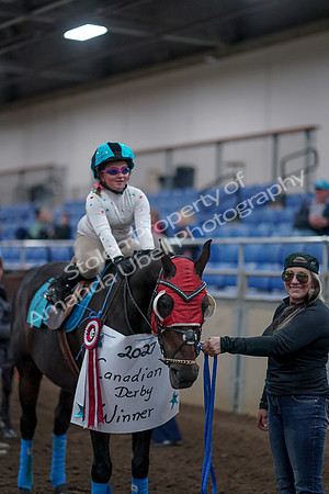 2019 Morgan Horse Show - Aug 31, 2019 - 10175