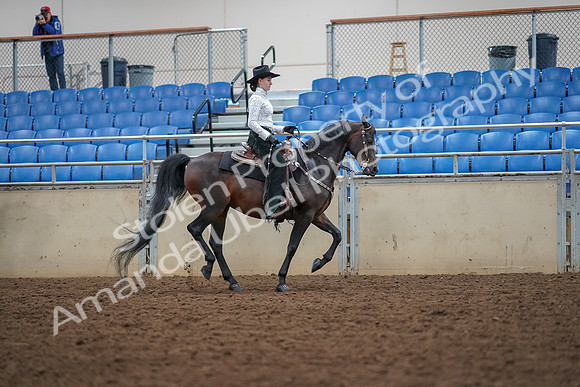 2019 Morgan Horse Show - Aug 30, 2019 - 16952
