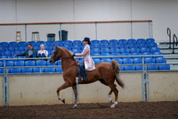 2019 Morgan Horse Show - Aug 30, 2019 - 21389