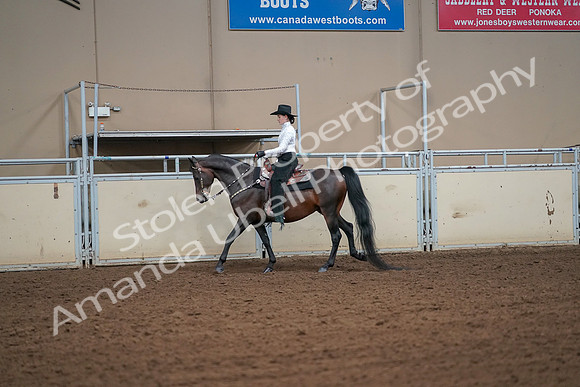 2019 Morgan Horse Show - Aug 30, 2019 - 16908