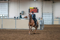 2020 - AB Morgan Horse - Sat, Sept 05 - 09363