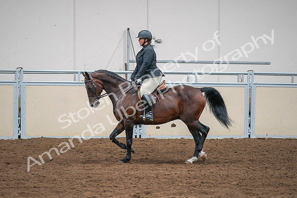 2020 - AB Morgan Horse - Sat, Sept 05 - 09340